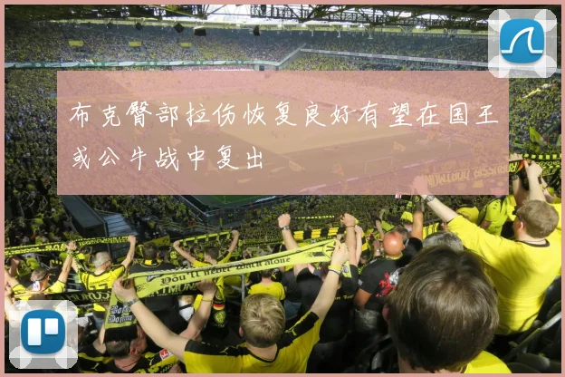 布克臀部拉伤恢复良好有望在国王或公牛战中复出