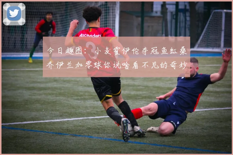 今日趣图：小麦霍伊伦夺冠鱼缸桑乔伊兰加零球你说啥看不见的奇妙瞬间