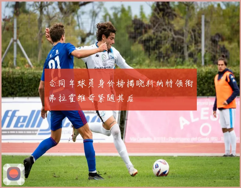 合同年球员身价榜揭晓科纳特领衔弗拉霍维奇紧随其后