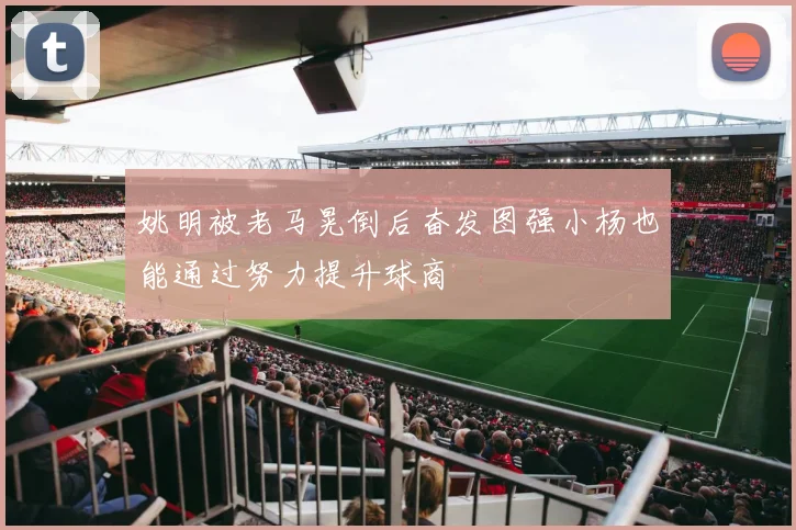 姚明被老马晃倒后奋发图强小杨也能通过努力提升球商